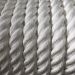 Polyester twisted rope