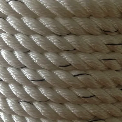 Polyester twisted rope