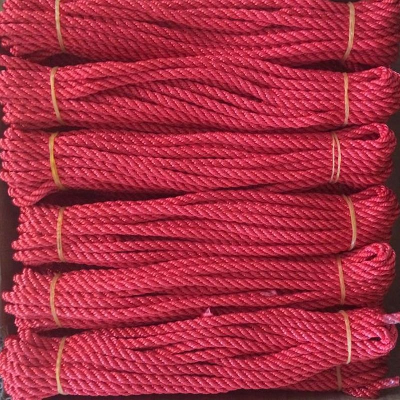Polyester twisted rope
