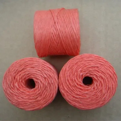 100% Natural Cotton Nylon PP Polyester Butcher Twine Cooking Twine Building  Twine - China PP Danline Rope and Marine Rope price